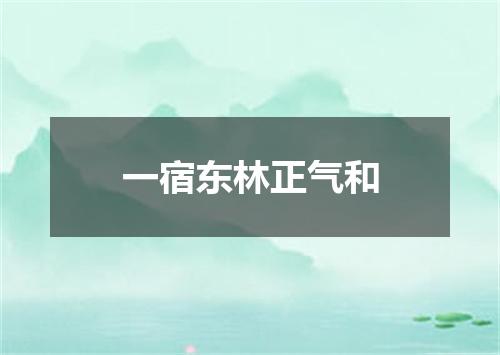 一宿东林正气和