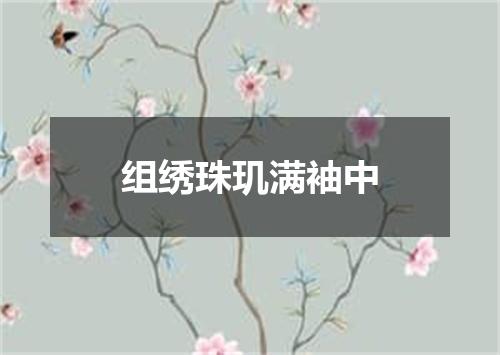 组绣珠玑满袖中