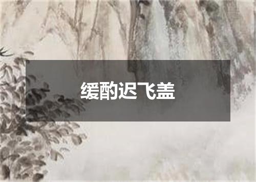 缓酌迟飞盖