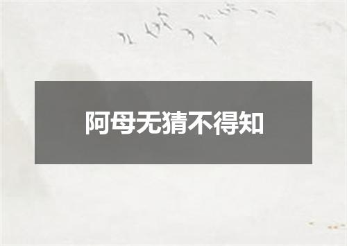 阿母无猜不得知