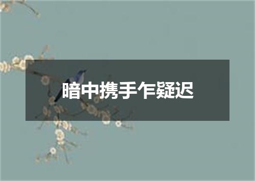 暗中携手乍疑迟