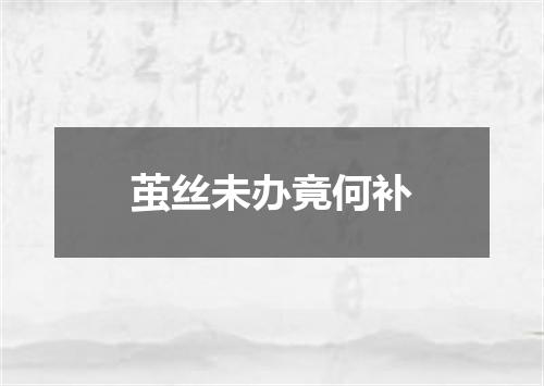 茧丝未办竟何补