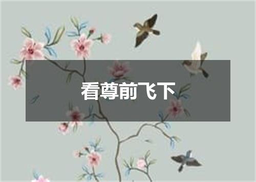 看尊前飞下