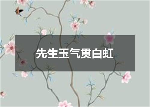 先生玉气贯白虹