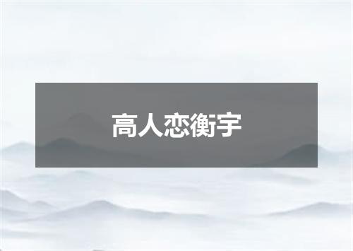 高人恋衡宇