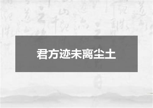 君方迹未离尘土