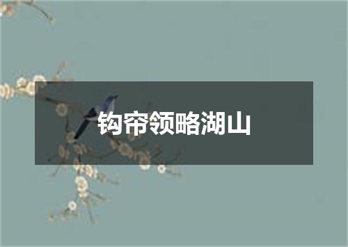 钩帘领略湖山