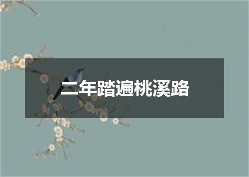 二年踏遍桃溪路