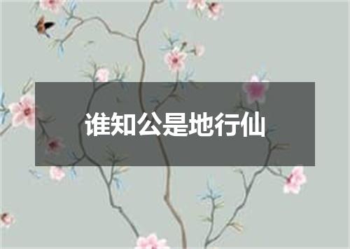 谁知公是地行仙