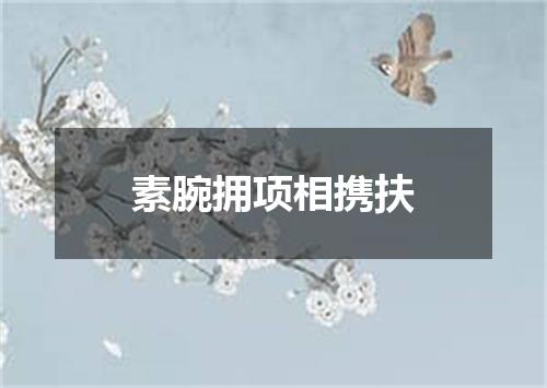 素腕拥项相携扶