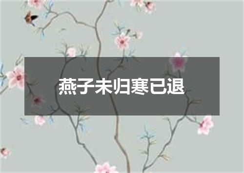 燕子未归寒已退