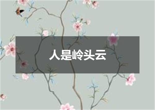 人是岭头云