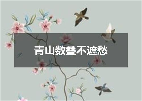 青山数叠不遮愁