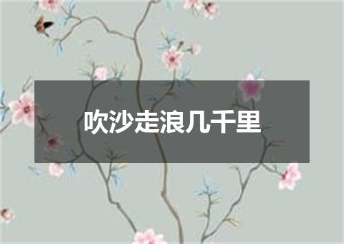 吹沙走浪几千里
