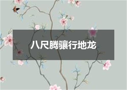 八尺腾骧行地龙