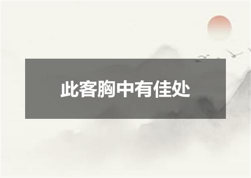 此客胸中有佳处