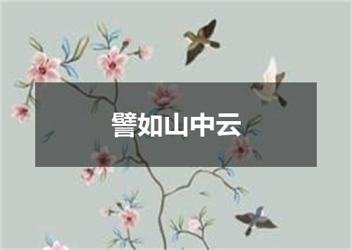 譬如山中云