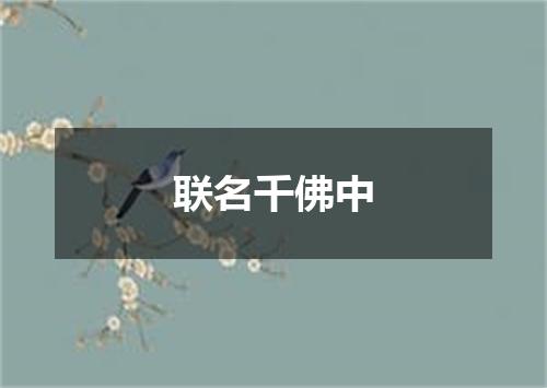 联名千佛中
