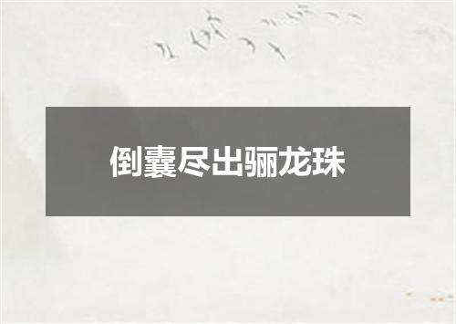 倒囊尽出骊龙珠