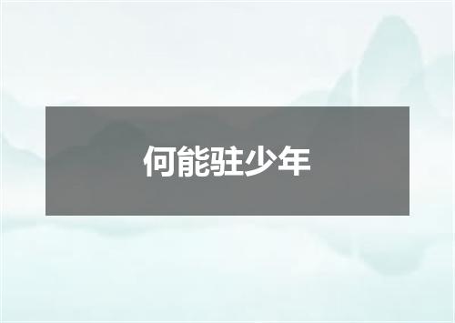 何能驻少年