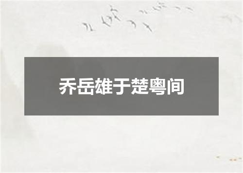 乔岳雄于楚粤间