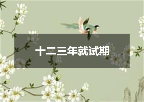 十二三年就试期
