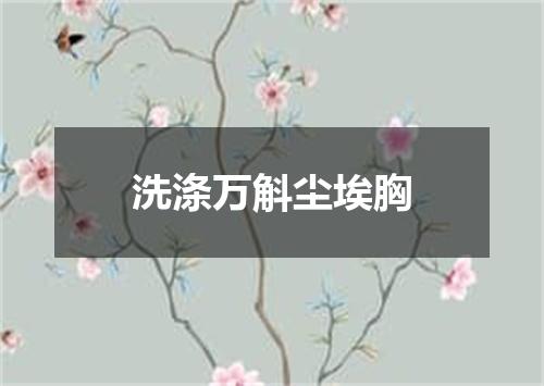 洗涤万斛尘埃胸