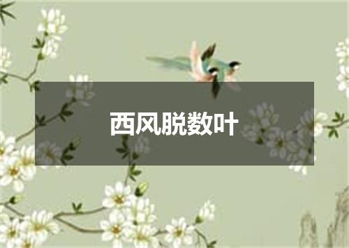 西风脱数叶