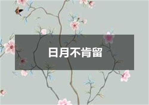 日月不肯留