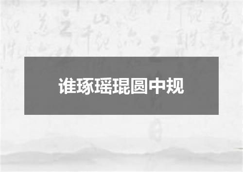 谁琢瑶琨圆中规