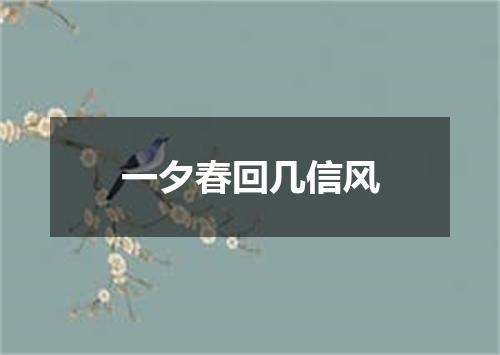 一夕春回几信风