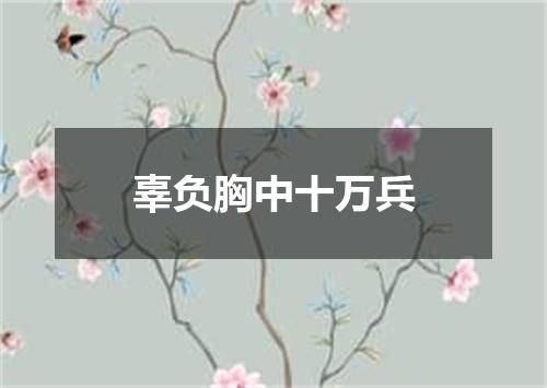 辜负胸中十万兵