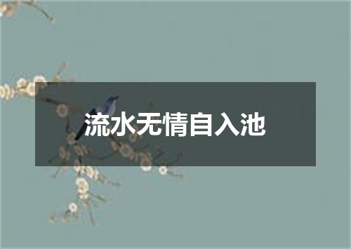 流水无情自入池