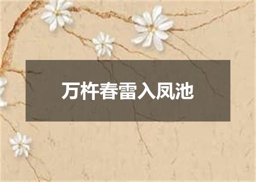 万杵春雷入凤池