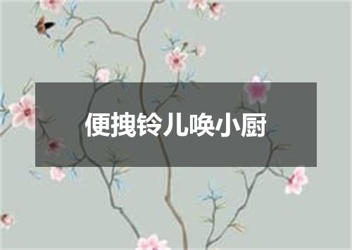 便拽铃儿唤小厨