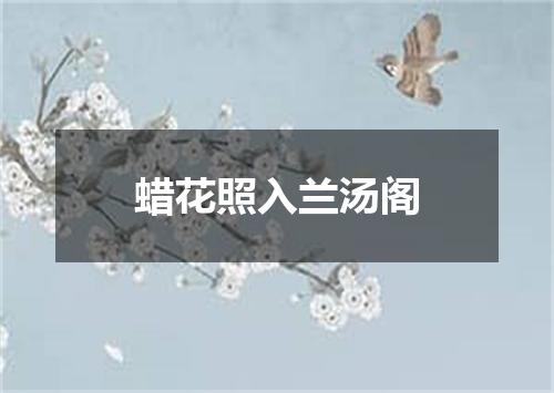 蜡花照入兰汤阁