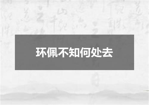 环佩不知何处去