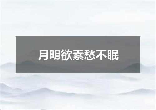 月明欲素愁不眠