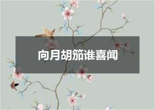 向月胡笳谁喜闻