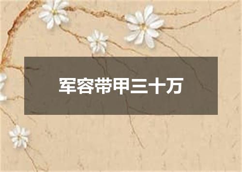 军容带甲三十万