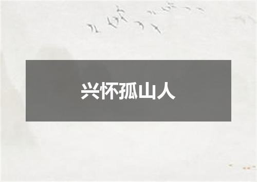 兴怀孤山人