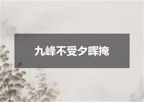 九峰不受夕晖掩