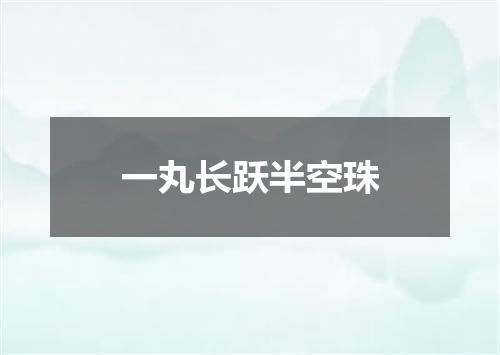 一丸长跃半空珠