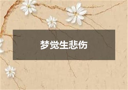 梦觉生悲伤