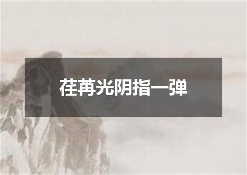 荏苒光阴指一弹