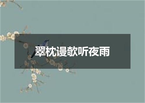 翠枕谩欹听夜雨