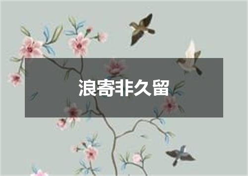 浪寄非久留