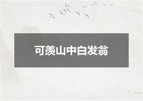 可羡山中白发翁