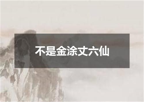 不是金涂丈六仙