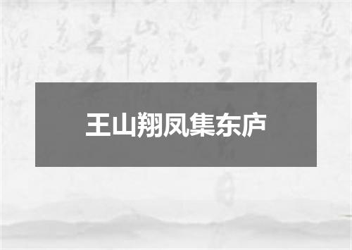 王山翔凤集东庐